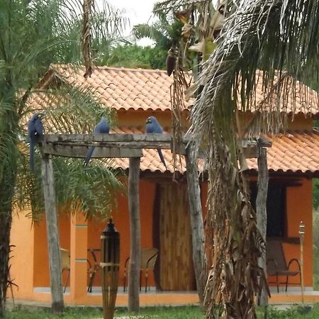 Pousada Reserva Ecologica Jaguar Pocone Exterior photo