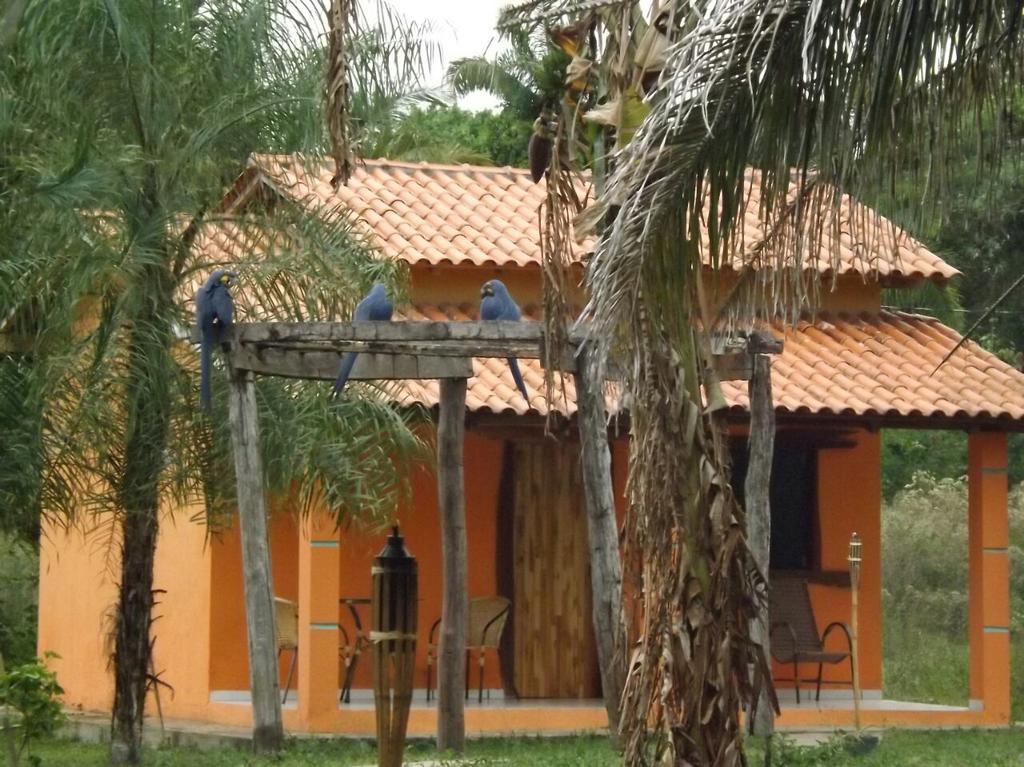 Pousada Reserva Ecologica Jaguar Pocone Exterior photo